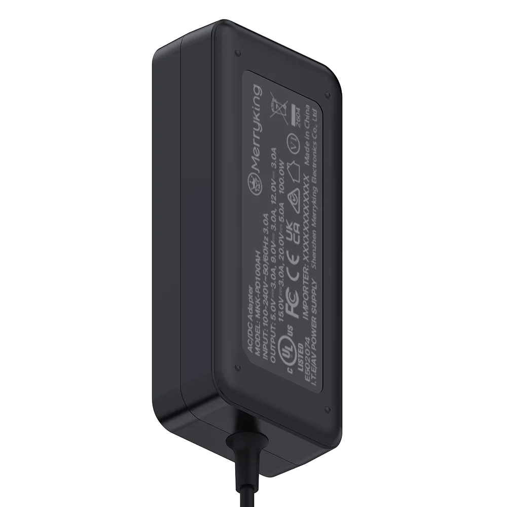 100W Desktop PD Adapters 100W Max variant 1