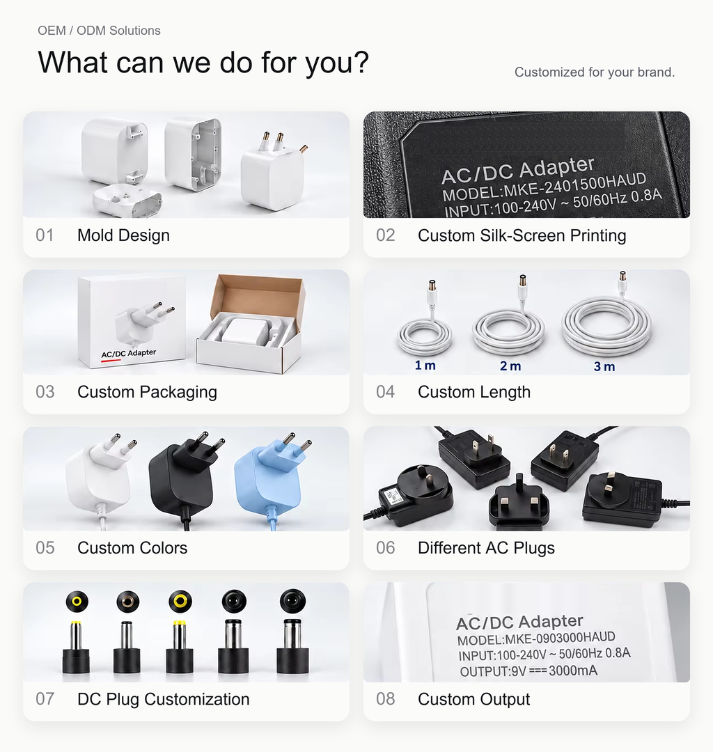 Power adapter OEM customization